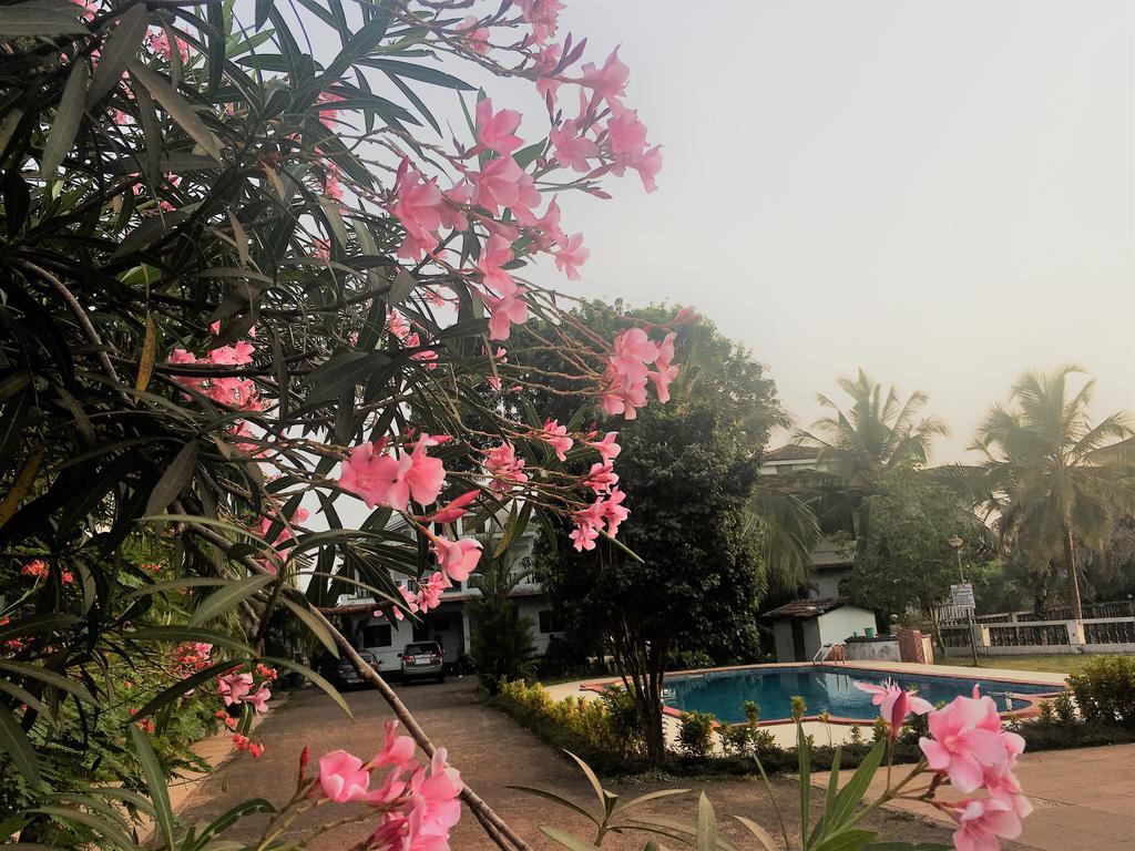 Gr Stays - Duplex 3Bhk Villa With Pool Arpora I Baga Beach 5 Mins 외부 사진
